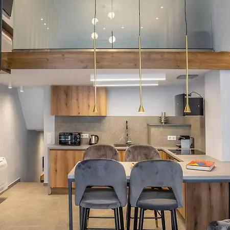 Apartment Elegant And Stylish Loft In The Heart Of